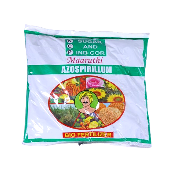 Azospirillum