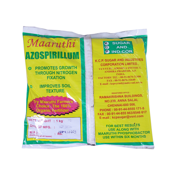 Azospirillum1