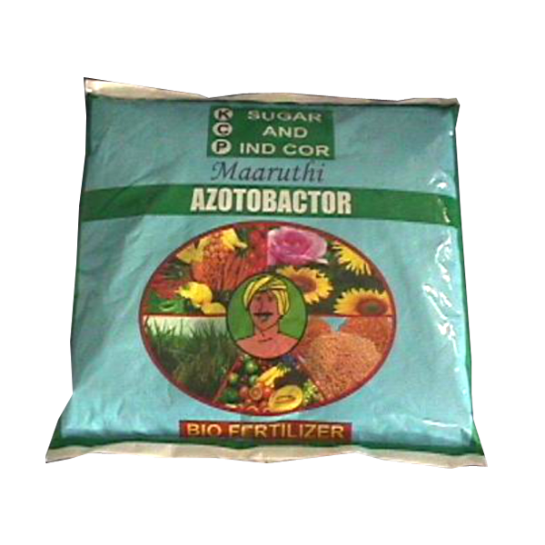 Azotobacter