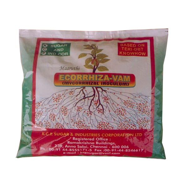 Ecorrhiza