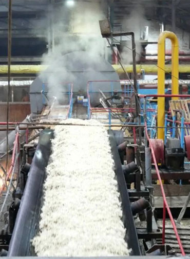 energy-sugar-industry