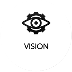 vision