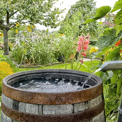 water harvesting in home